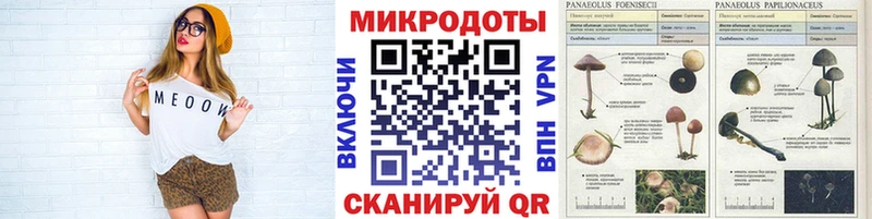 Галлюциногенные грибы GOLDEN TEACHER  ссылка на мегу онион  Демидов 